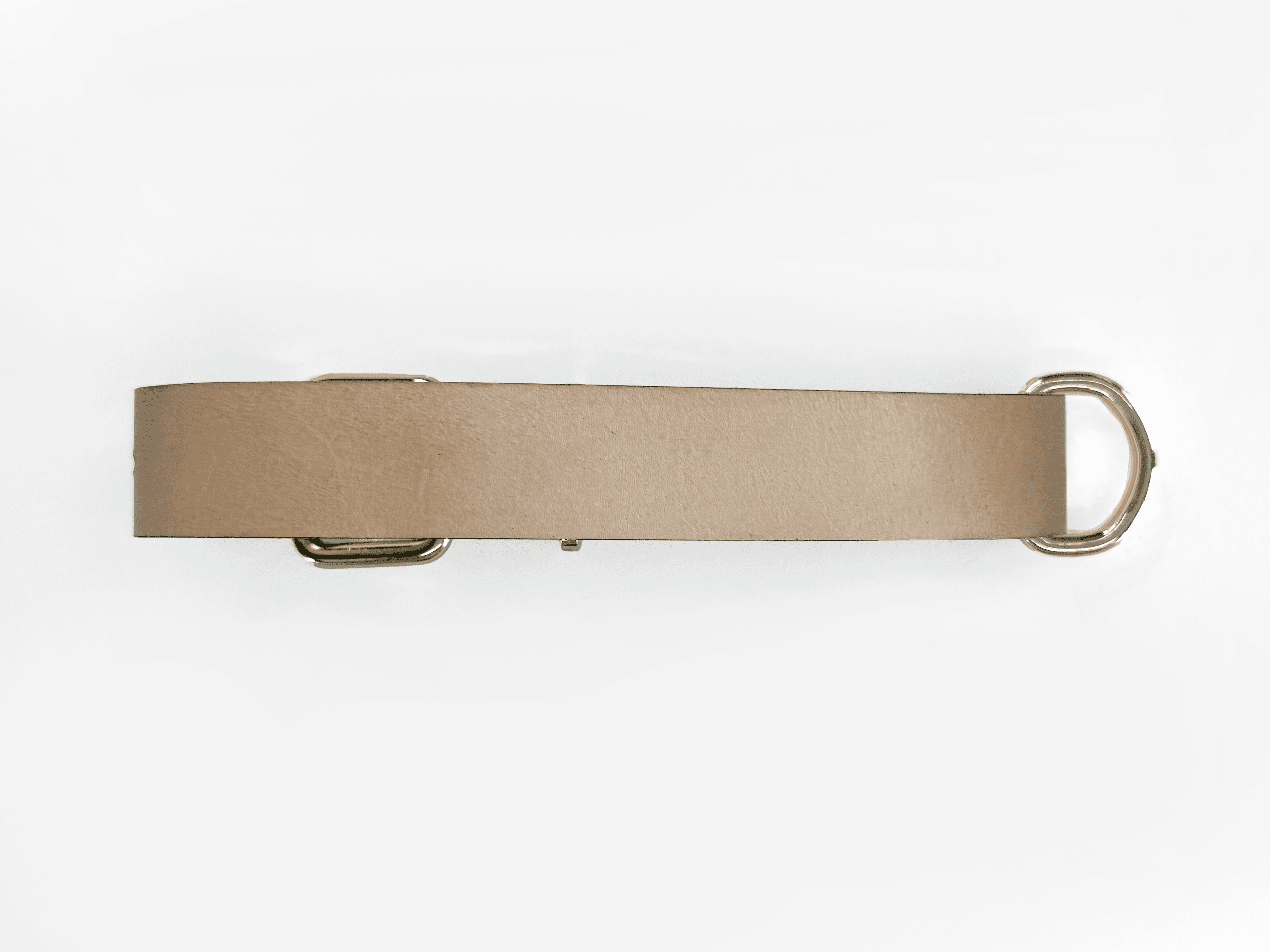 Imagem de trás da Pet Cher Apolo