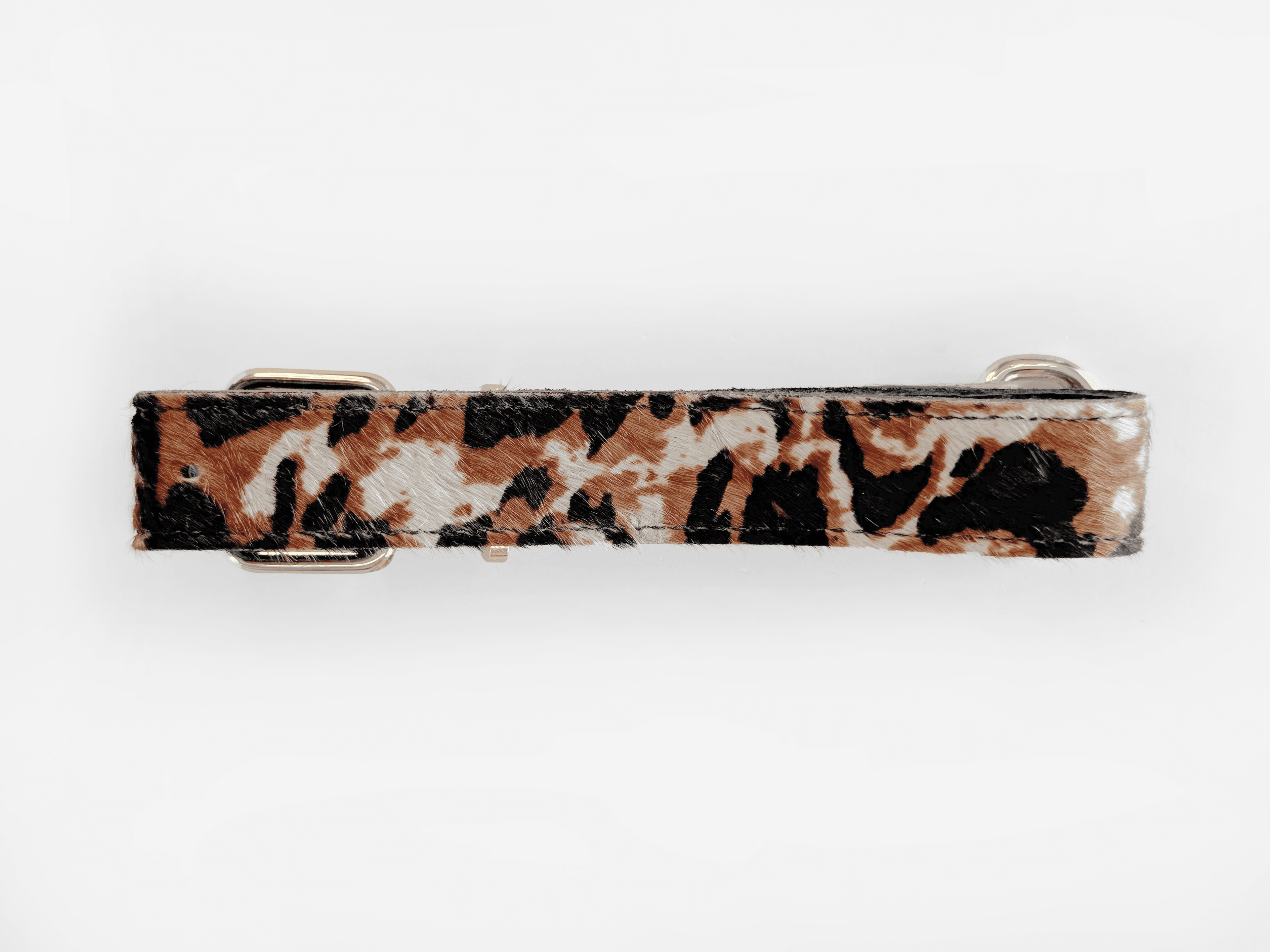 Imagem de trás da Pet Cher bolt