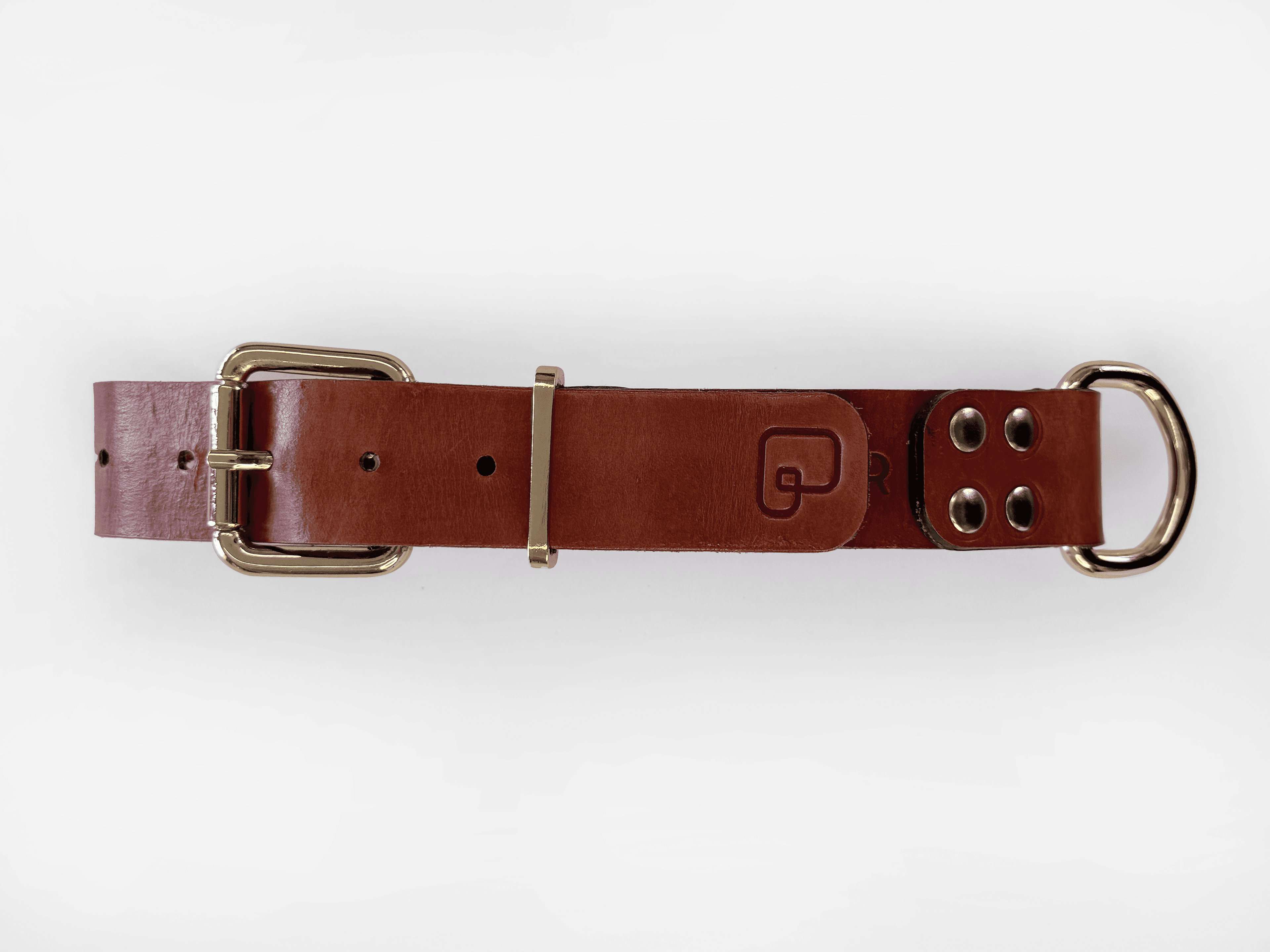 Imagem de frente da Pet Cher jade