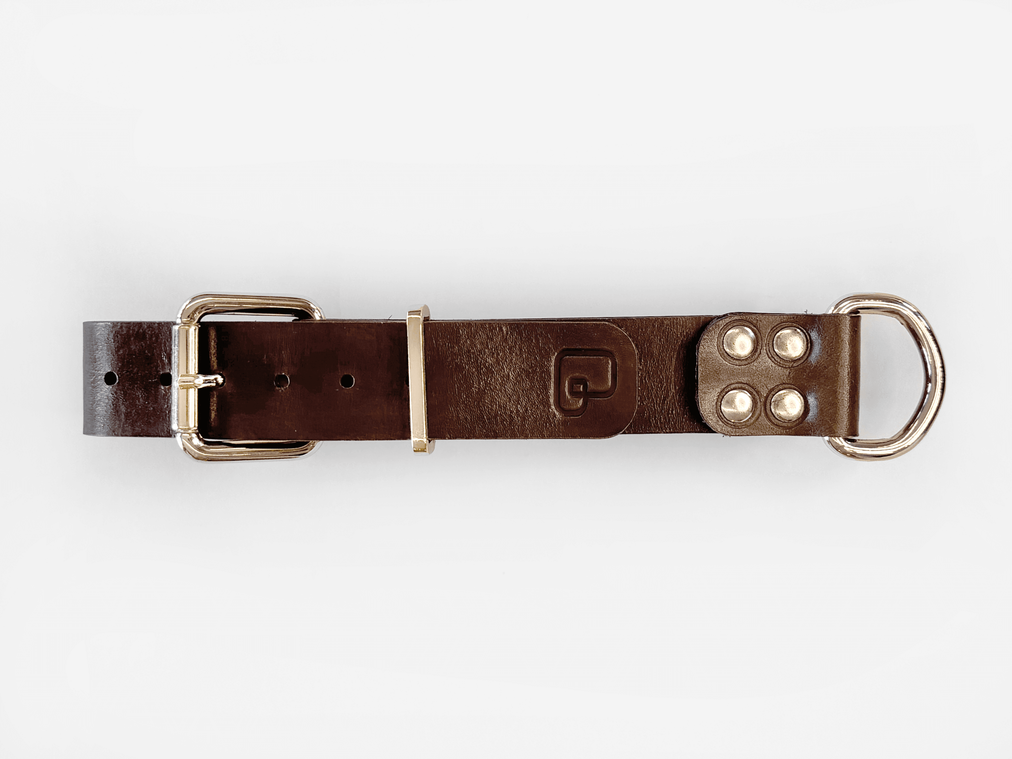 Imagem de frente da Pet Cher pandora