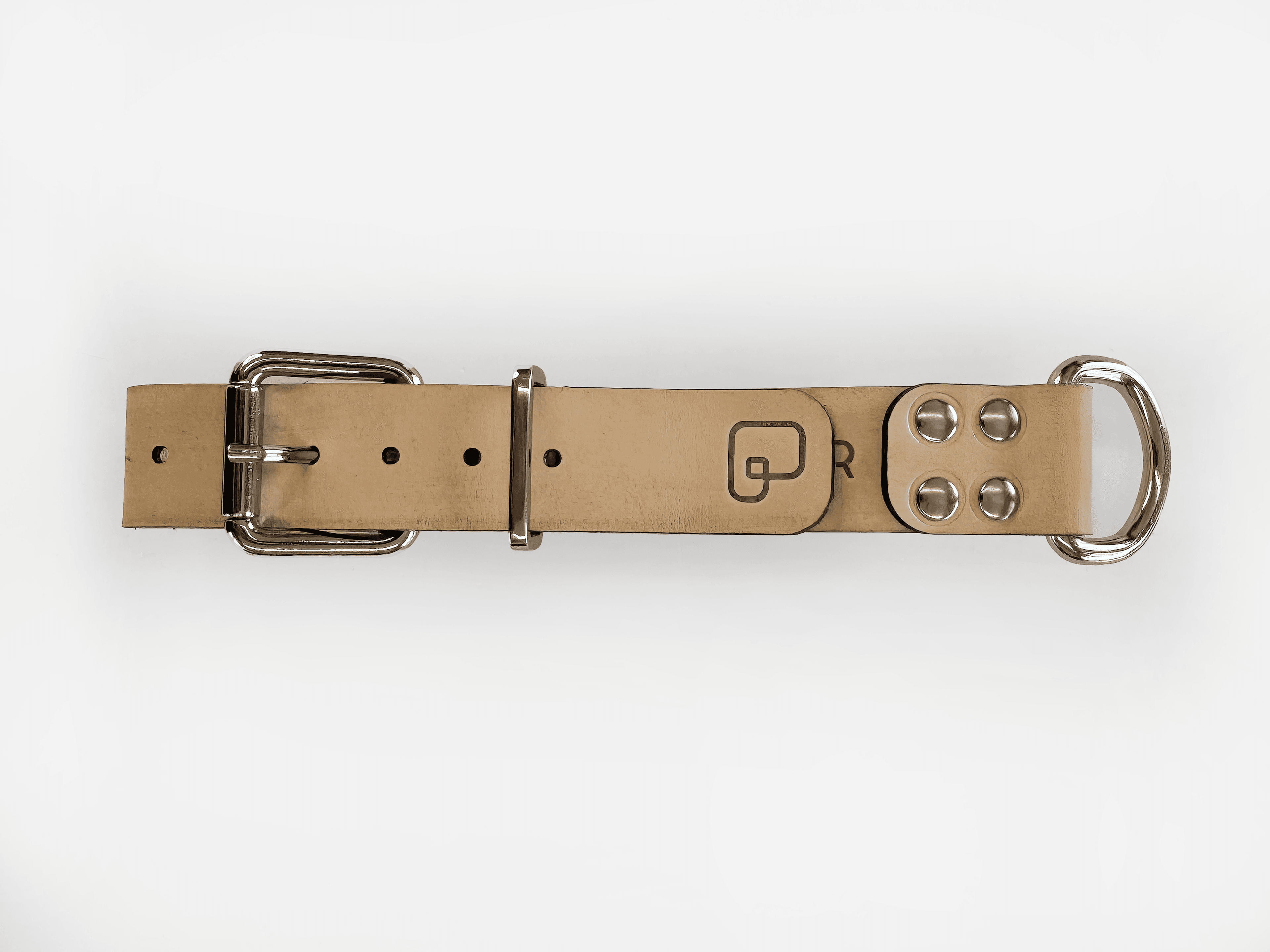 Imagem de frente da Pet Cher rock